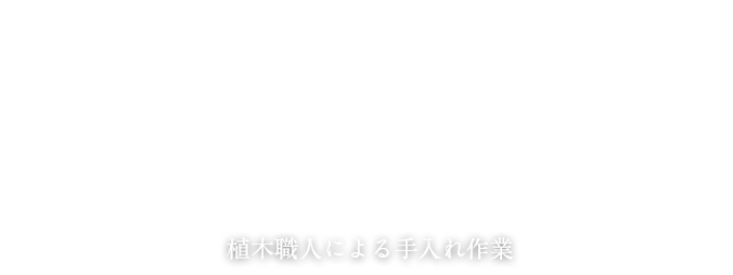 植木職人による手入れ作業